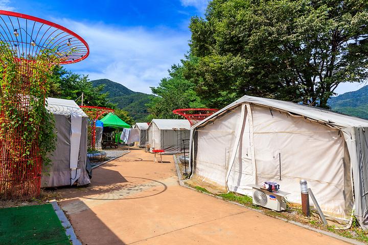 젠틀펫 파라다이스 캠핑장 사진
