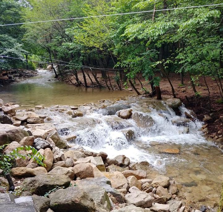 삼태기캠핑장 캠핑장 사진
