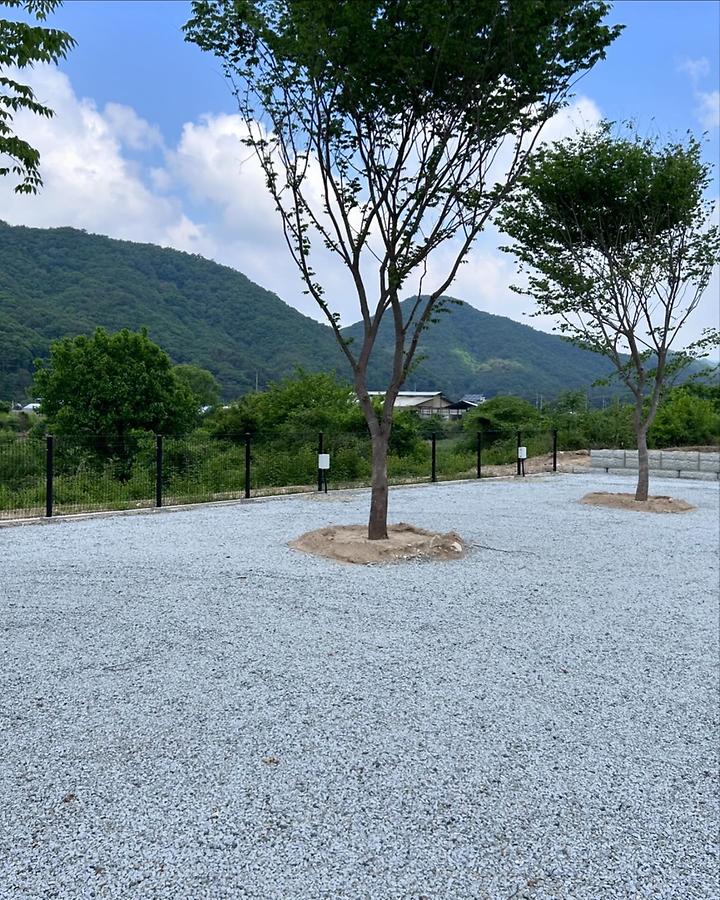 봄이네 캠핑장 캠핑장 사진