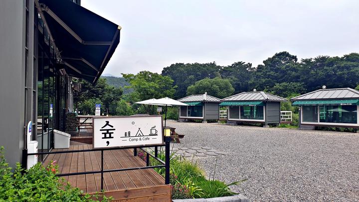 숲캠핑장 캠핑장 사진