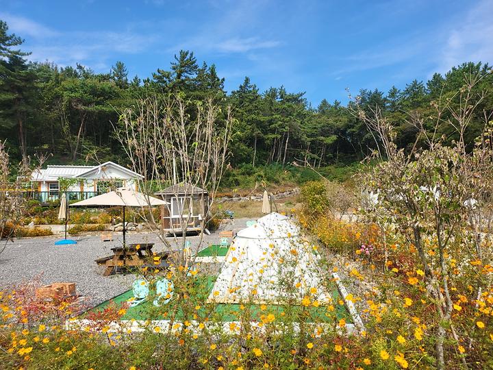 사천파인트리캠핑장 캠핑장 사진