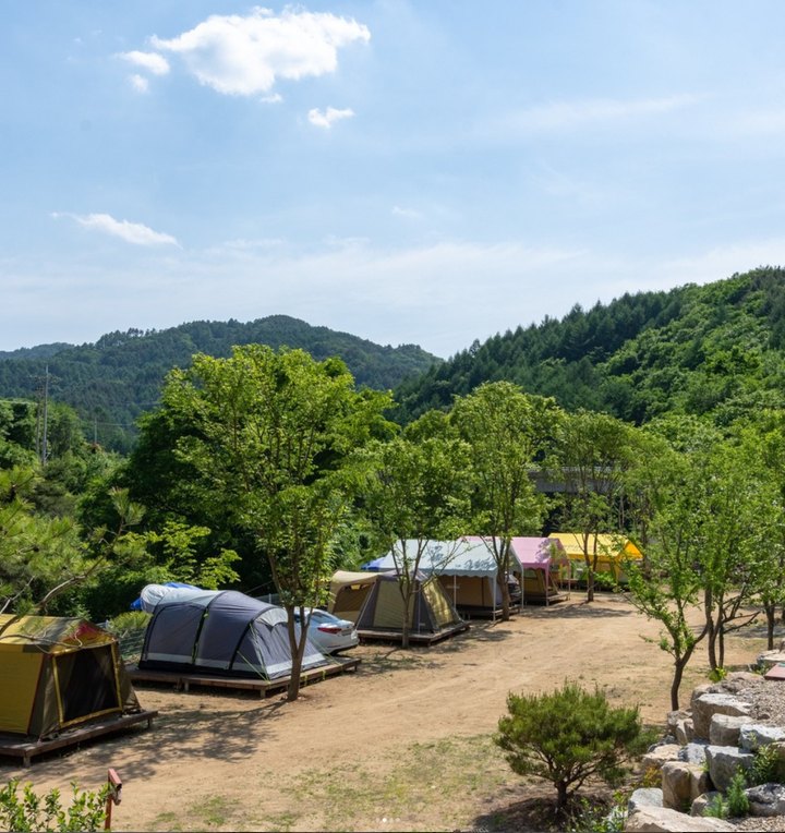늘편한캠핑장(2) 캠핑장 사진