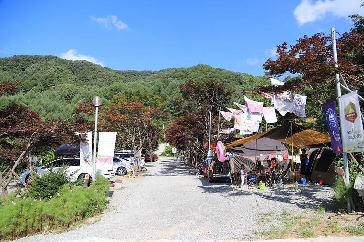 매봉힐링캠프 캠핑장 사진