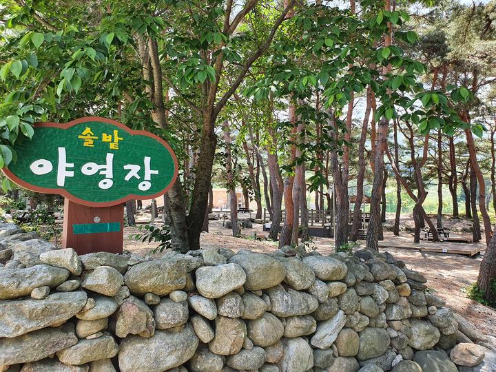 무주 솔밭야영장 캠핑장 사진