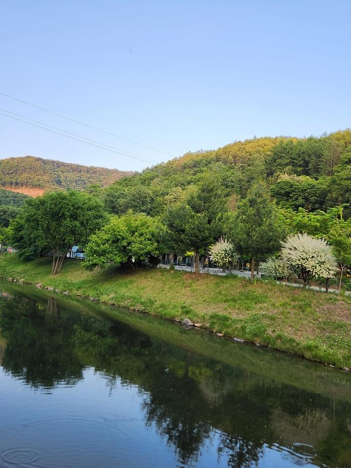 속리산알프스캠핑장&펜션 캠핑장 사진