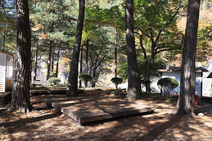 정선 삼시세끼 스쿨 캠핑장 캠핑장 사진