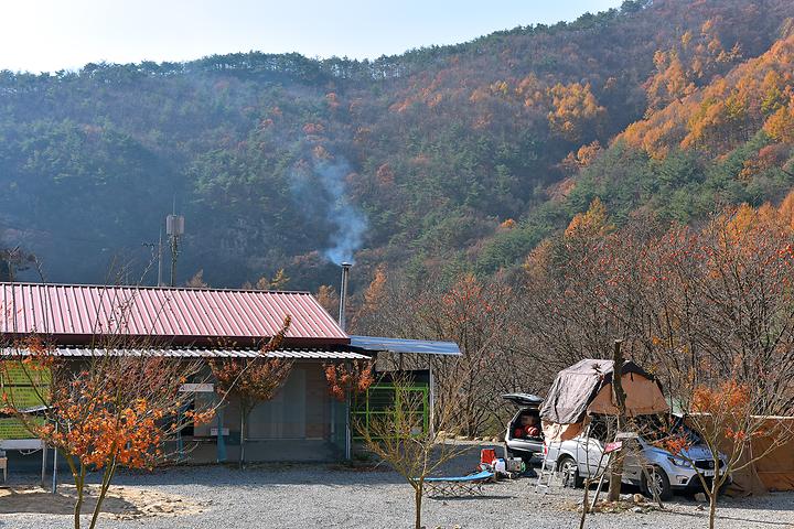 숲이조아캠핑장 캠핑장 사진