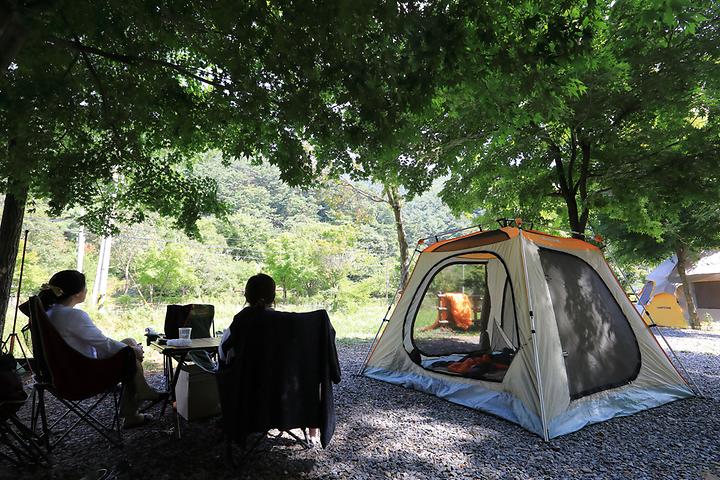용두산오토캠핑장 캠핑장 사진