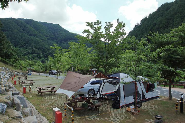 좌구산오토캠핑장 캠핑장 사진