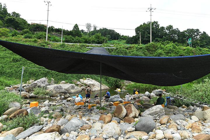 지리산백무동파크야영장 캠핑장 사진