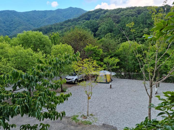 지리산천왕봉오토캠핑장 캠핑장 사진