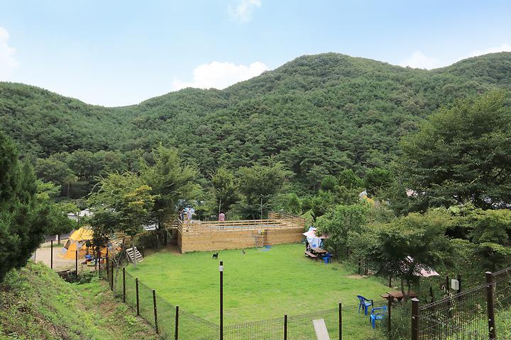 트리독스 애견전용캠핑장 캠핑장 사진