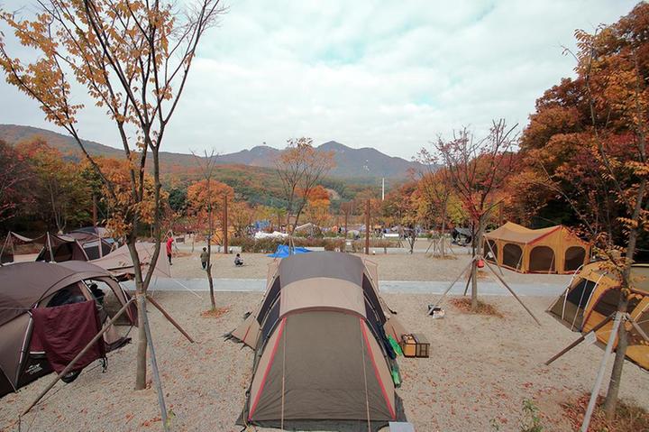 초막골생태공원 느티나무야영장 캠핑장 사진