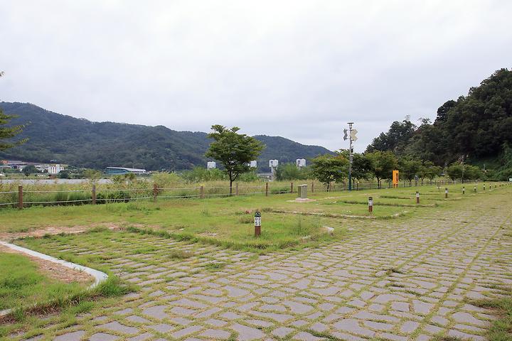 칠곡보 오토캠핑장 캠핑장 사진