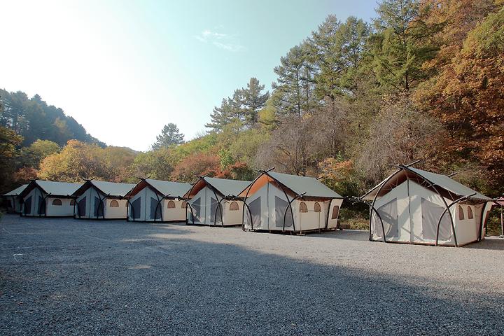 석산계곡 코코비발디글램핑 카라반 오토캠핑장 캠핑장 사진