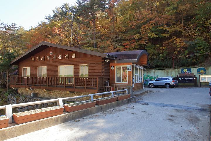 통고산 자연휴양림야영장 캠핑장 사진