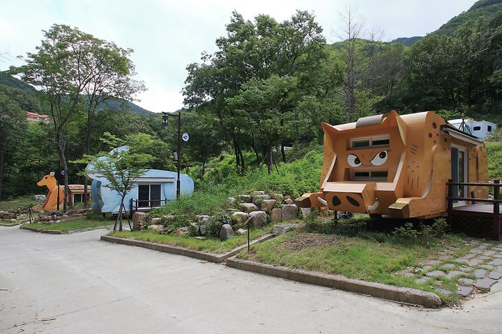 팔공산금화자연휴양림 캠핑장 사진