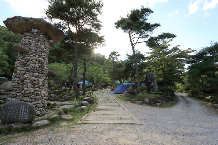 드래곤오토캠핑장 캠핑장 사진