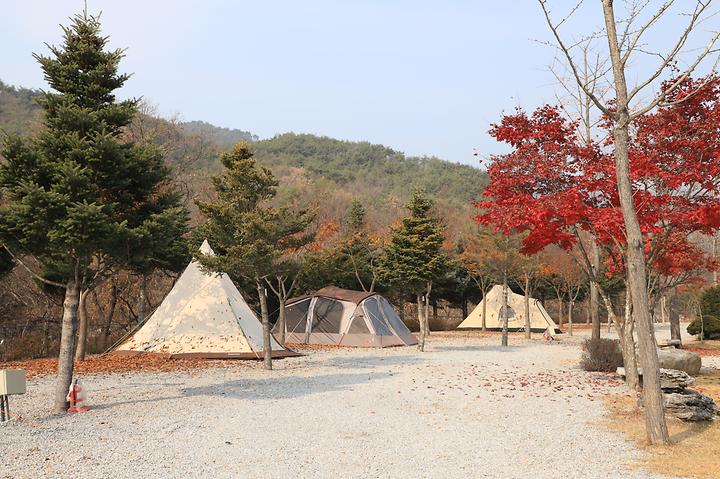 프라임캠핑장 캠핑장 사진