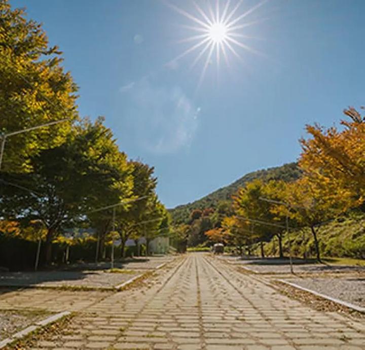 함양용추오토캠핑장 캠핑장 사진