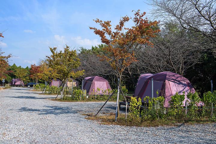 함평나비마을 서울캠핑장 캠핑장 사진