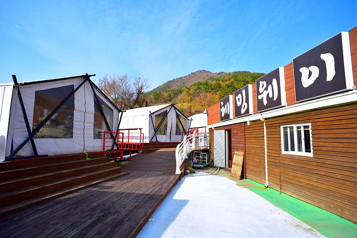 헤밍웨이 글램핑 캠핑장 사진