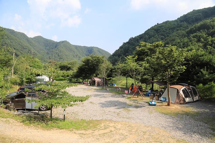 호식이 캠핑장 캠핑장 사진