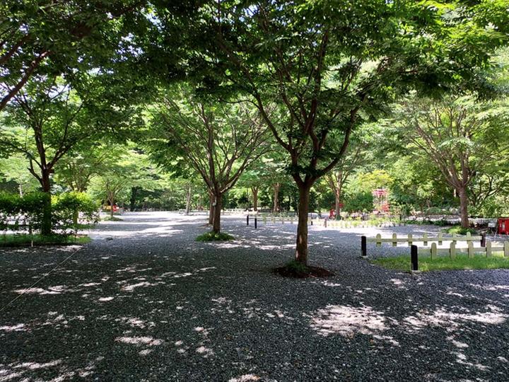 횡성산울림오토캠핑장 캠핑장 사진