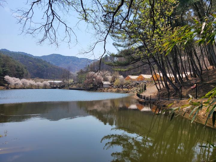 판앤팜 치유정원 캠핑장 사진