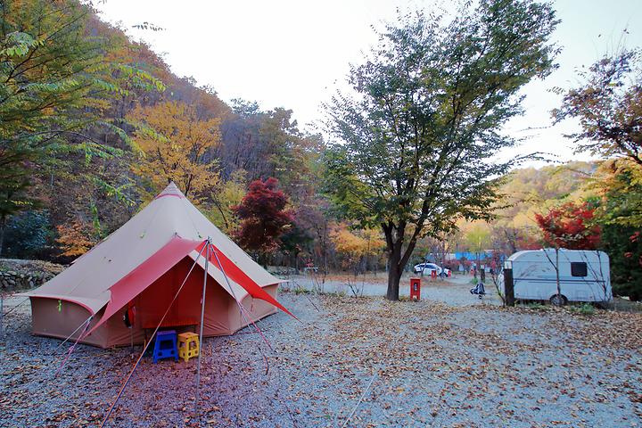 THATS CAMPING 횡성자연휴양림야영장 캠핑장 사진