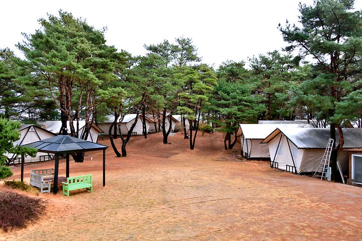 느랭이골 자연휴양림 일반야영장 캠핑장 사진