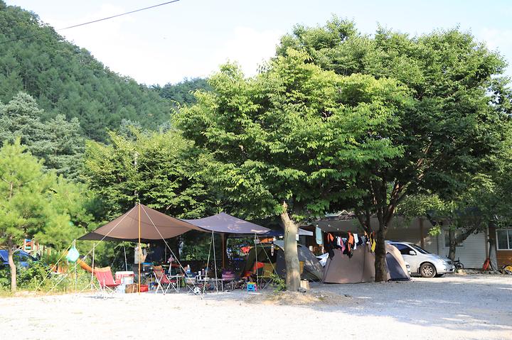 영월계곡 느티별캠핑장 캠핑장 사진