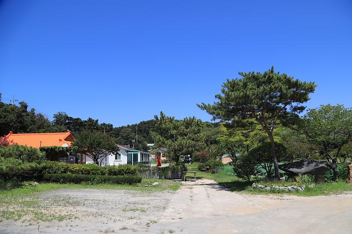 락인뜰 캠핑장 캠핑장 사진