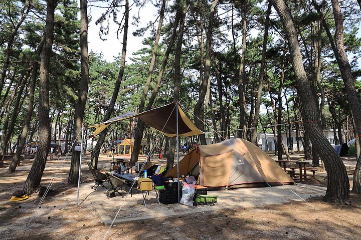 고사포야영장 캠핑장 사진