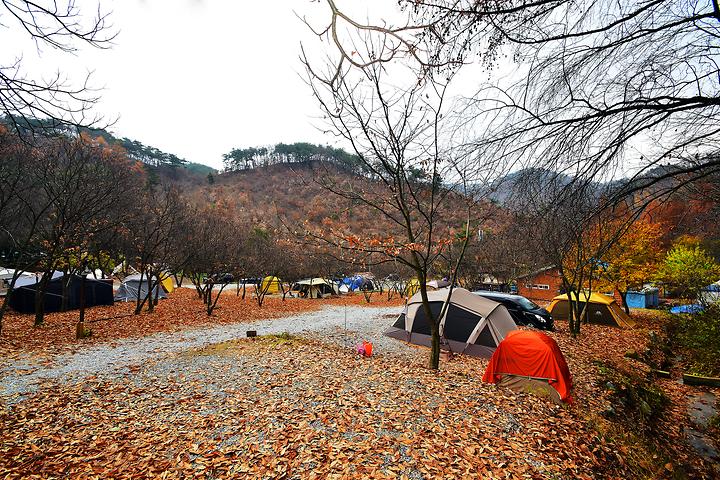 LAFORESTA(라포레스타) 캠핑장 사진