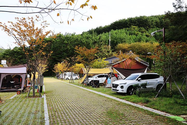 통제영오토캠핑장 캠핑장 사진