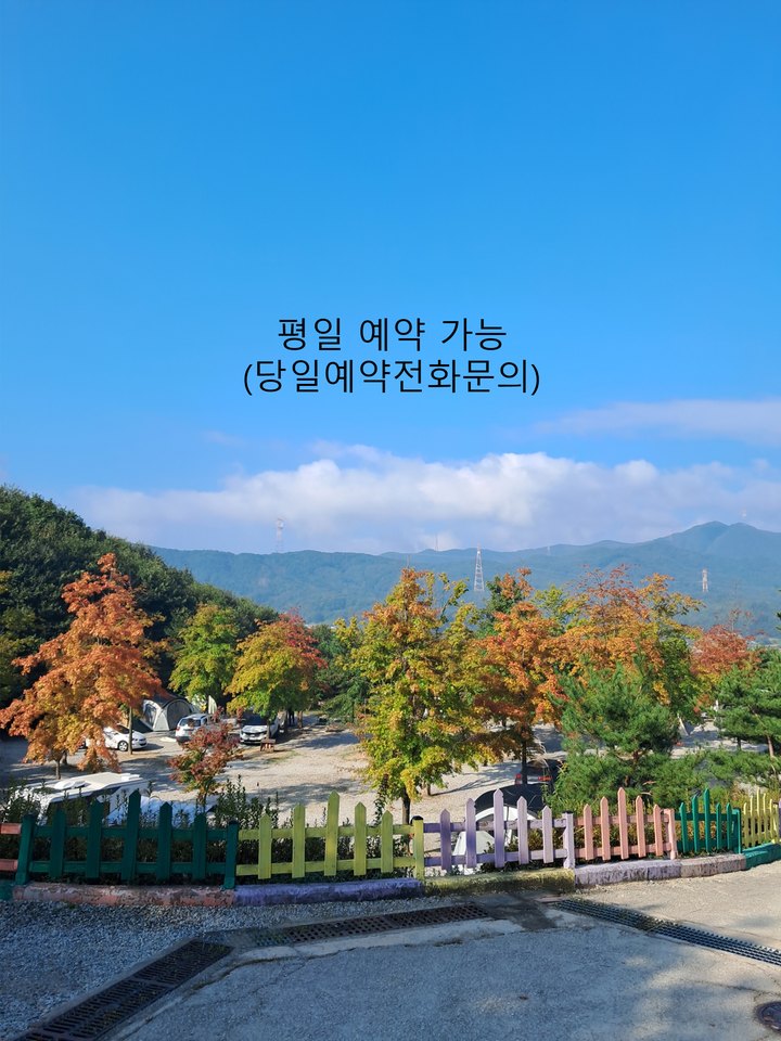 단풍숲캠핑장 캠핑장 사진