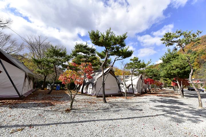 리즈밸리 캠핑장 사진