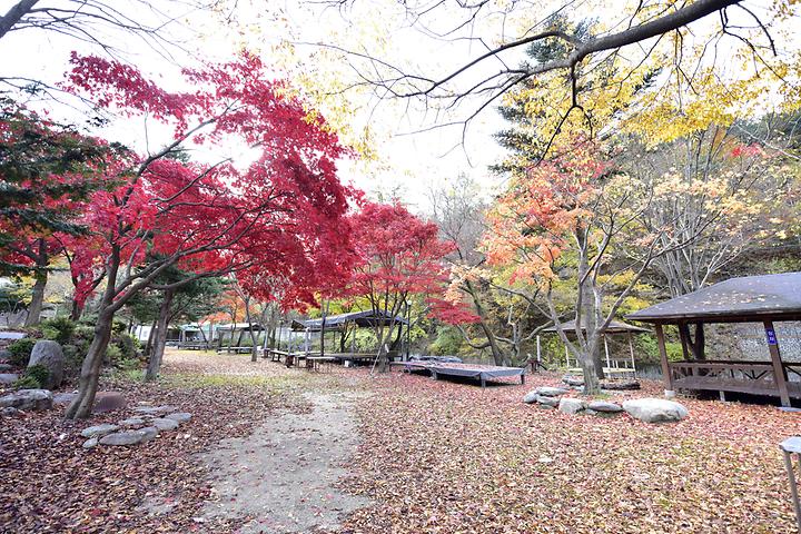 유명산밸리캠핑장 캠핑장 사진