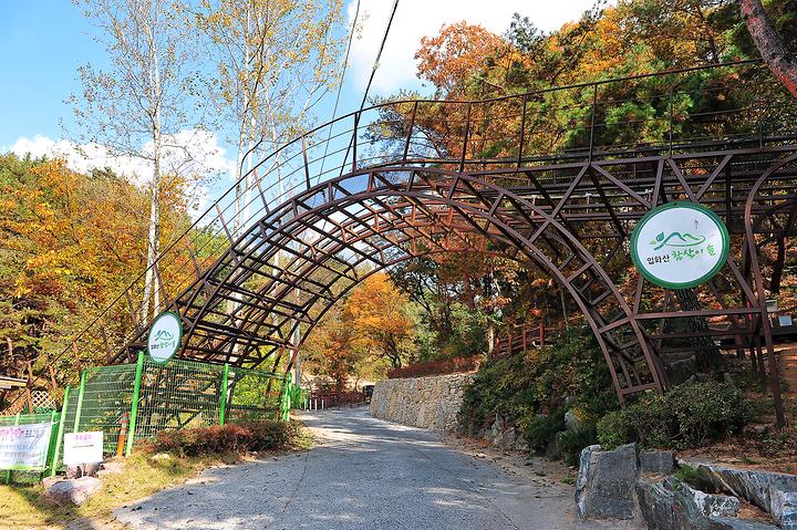 입화산참살이숲야영장 캠핑장 사진