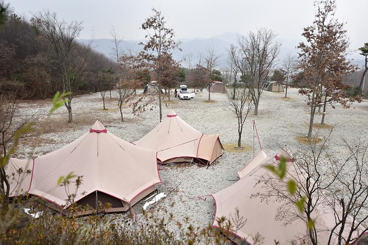 장수자연관광농원 캠핑장 사진
