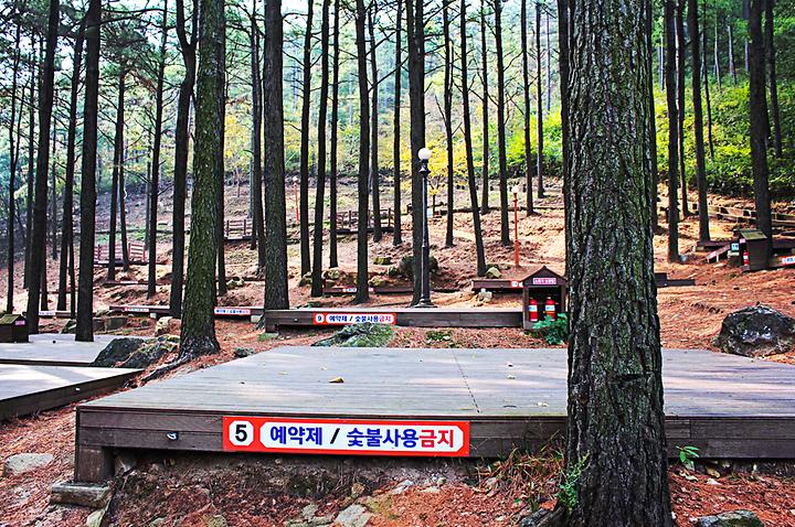 제암산자연휴양림 야영장 캠핑장 사진