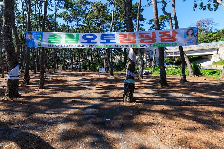 송림오토캠핑장 캠핑장 사진