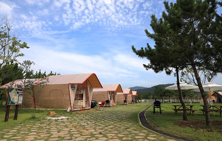고창갯벌오토캠핑&글램핑 캠핑장 사진
