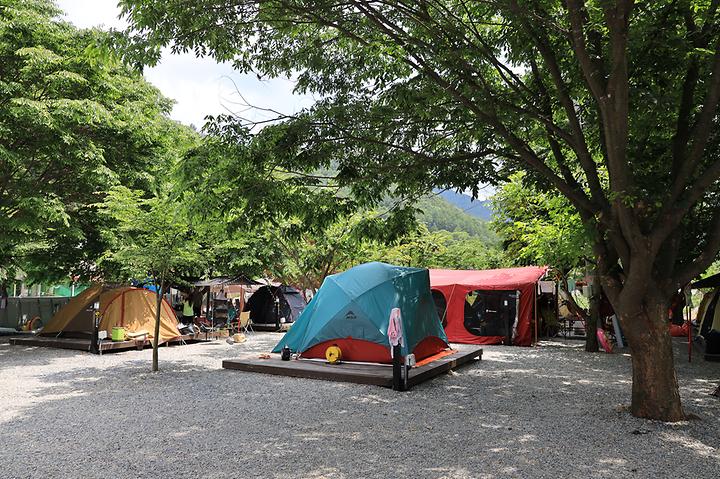 자연과함께 펜션캠핑장 캠핑장 사진