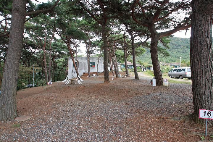 상양관광농원 캠핑장 사진