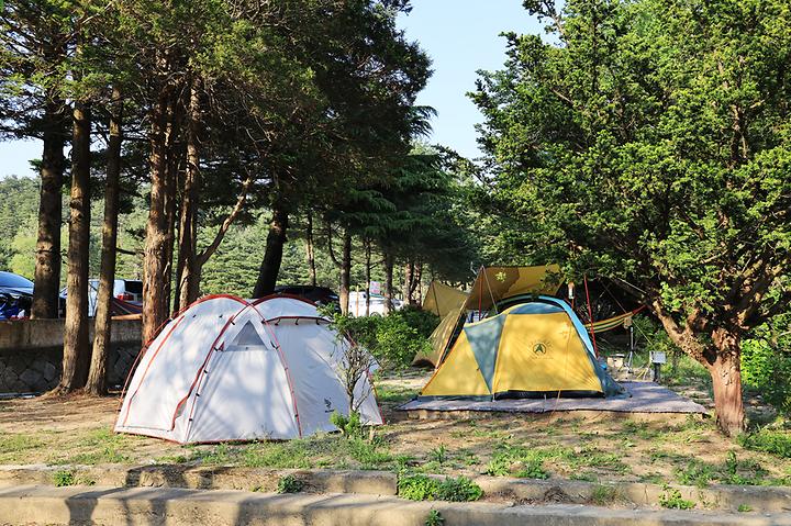 보광농촌체험휴양마을 캠핑장 사진