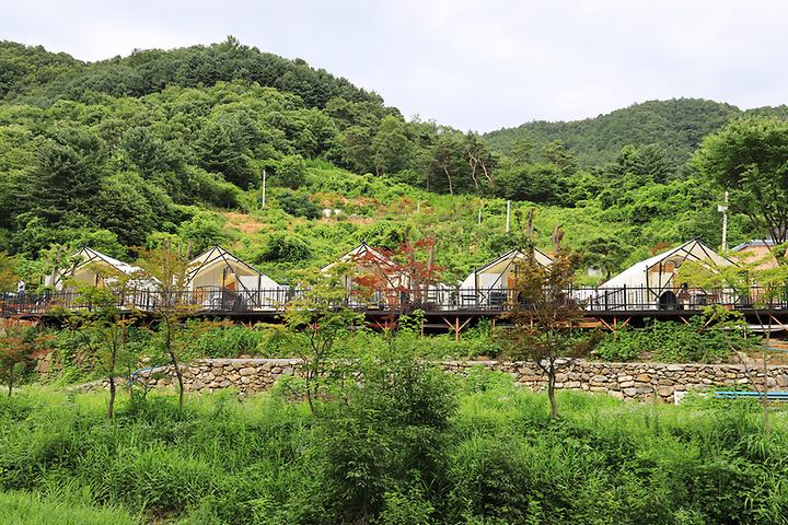 뚜뚜키즈풀빌라&글램핑 캠핑장 사진