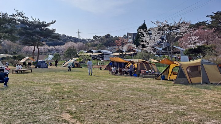세울터 오토캠핑장 & 펜션 캠핑장 사진