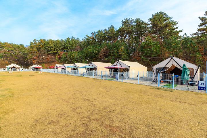 멍글멍글 펫 글램핑(주) 캠핑장 사진